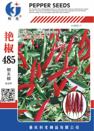 科光種苗“艷椒485”辣椒、“秋實(shí)1號”甘藍(lán)分別入選2025年農(nóng)業(yè)主導(dǎo)品種、農(nóng)作物優(yōu)良品種推廣目錄